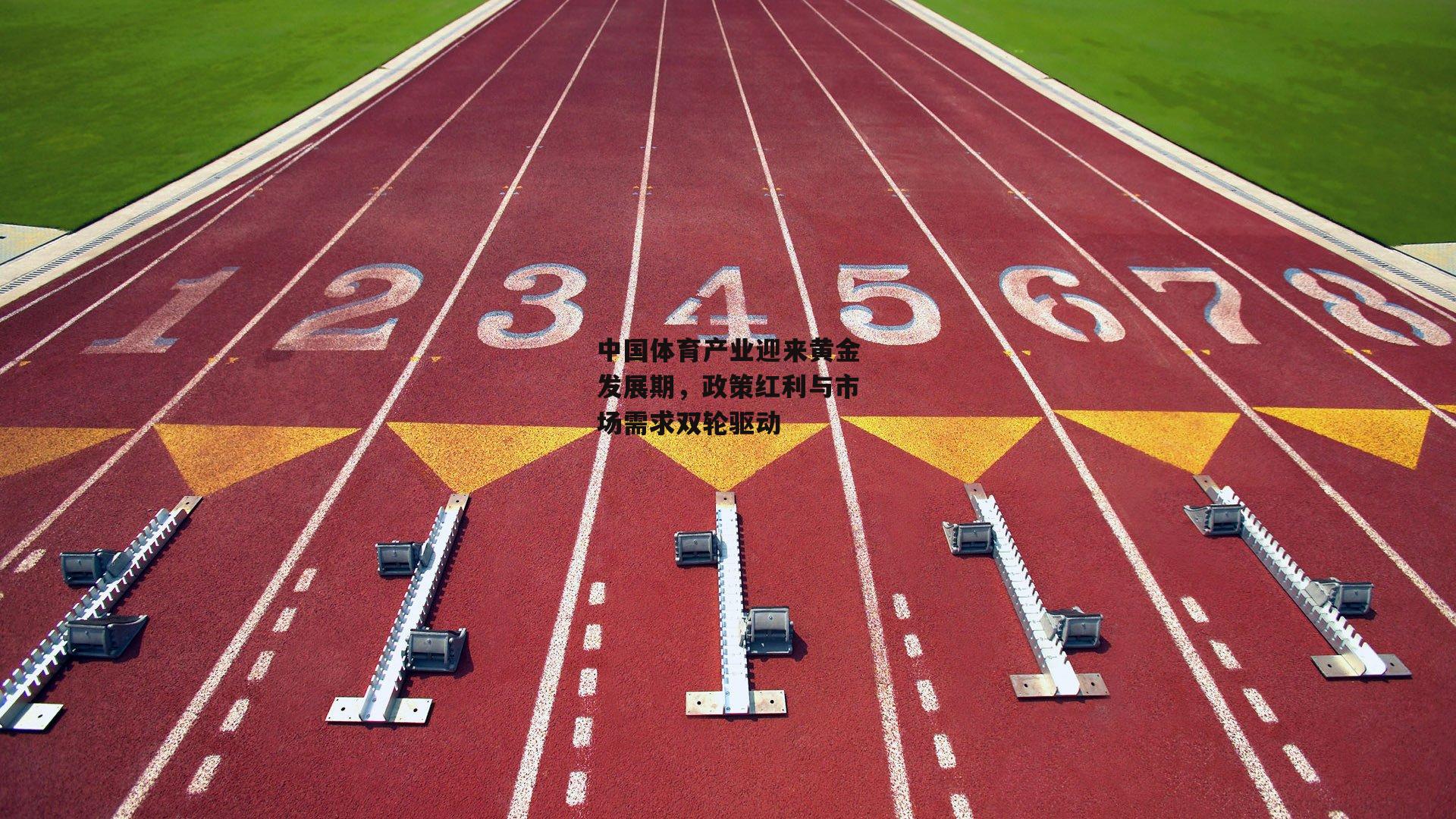 中国体育产业迎来黄金发展期，政策红利与市场需求双轮驱动